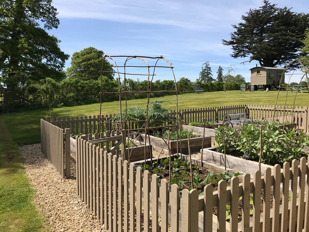 Raised beds