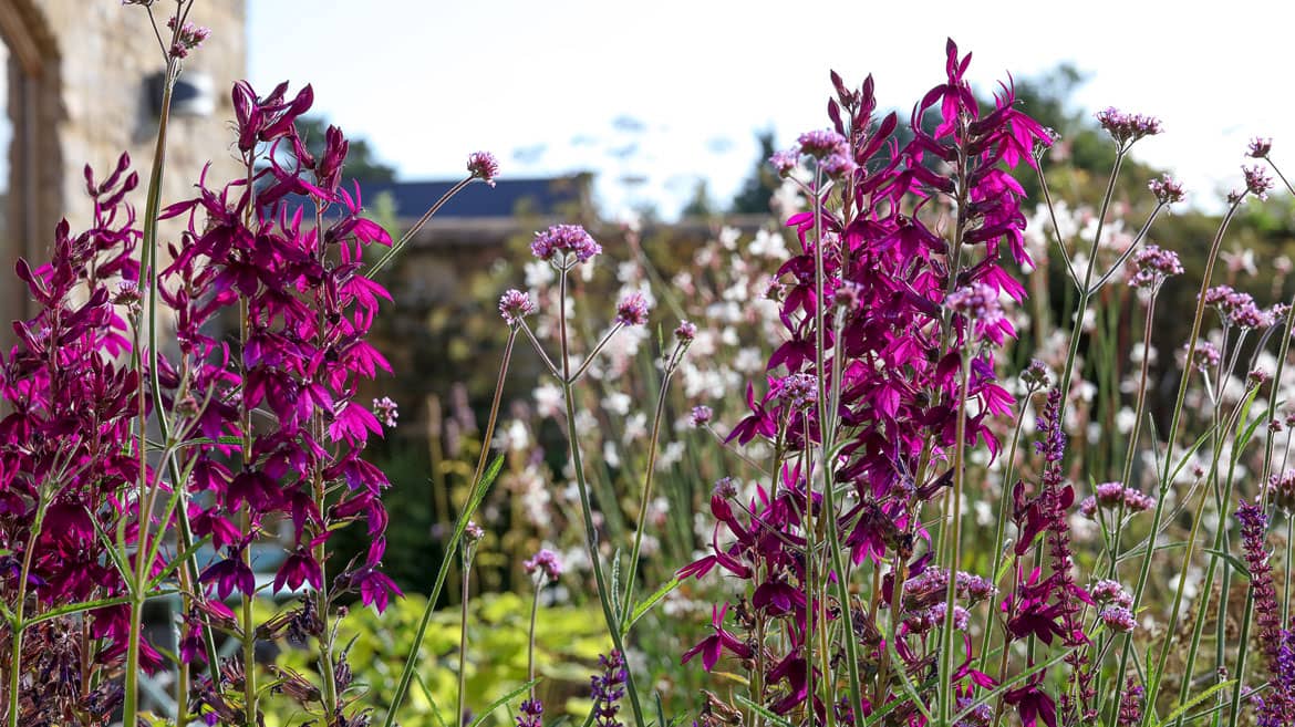 soft soft landscaping