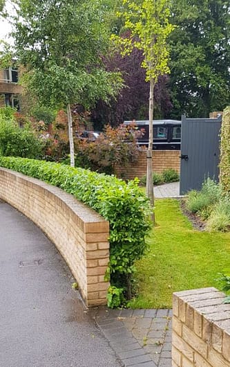 a well-pruned beech hedge