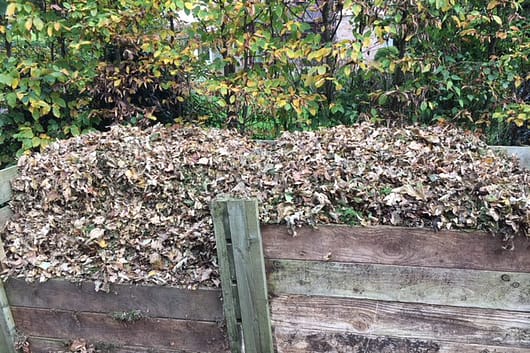 Compost bins full of leaves for making leaf mould