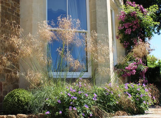 Grasses in windows - plant colour trends 2019