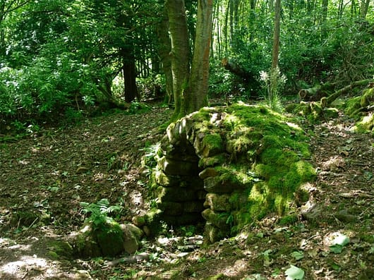 A moss-covered woodland grotto or secret spring inspired by Italian gardens