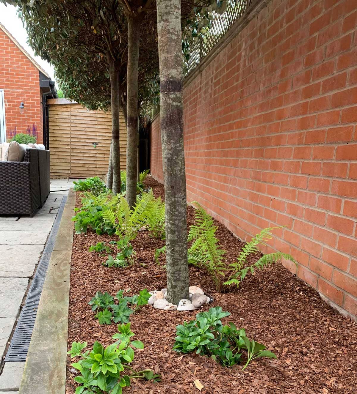 Pleached trees provide privacy and sanctuary in this garden. soft landscaped by The Oxfordshire Gardener