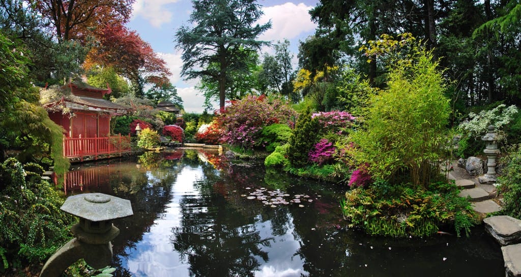 The Art of Japanese Gardens | Stories | The Oxfordshire Gardener